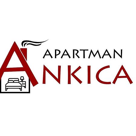 Apartman Ankica Golubac Esterno foto