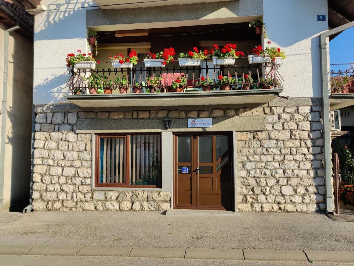 Apartman Ankica Golubac Esterno foto